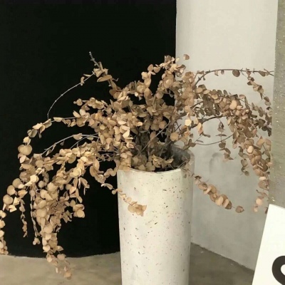 Furry原创作品设计思路福瑞交流群